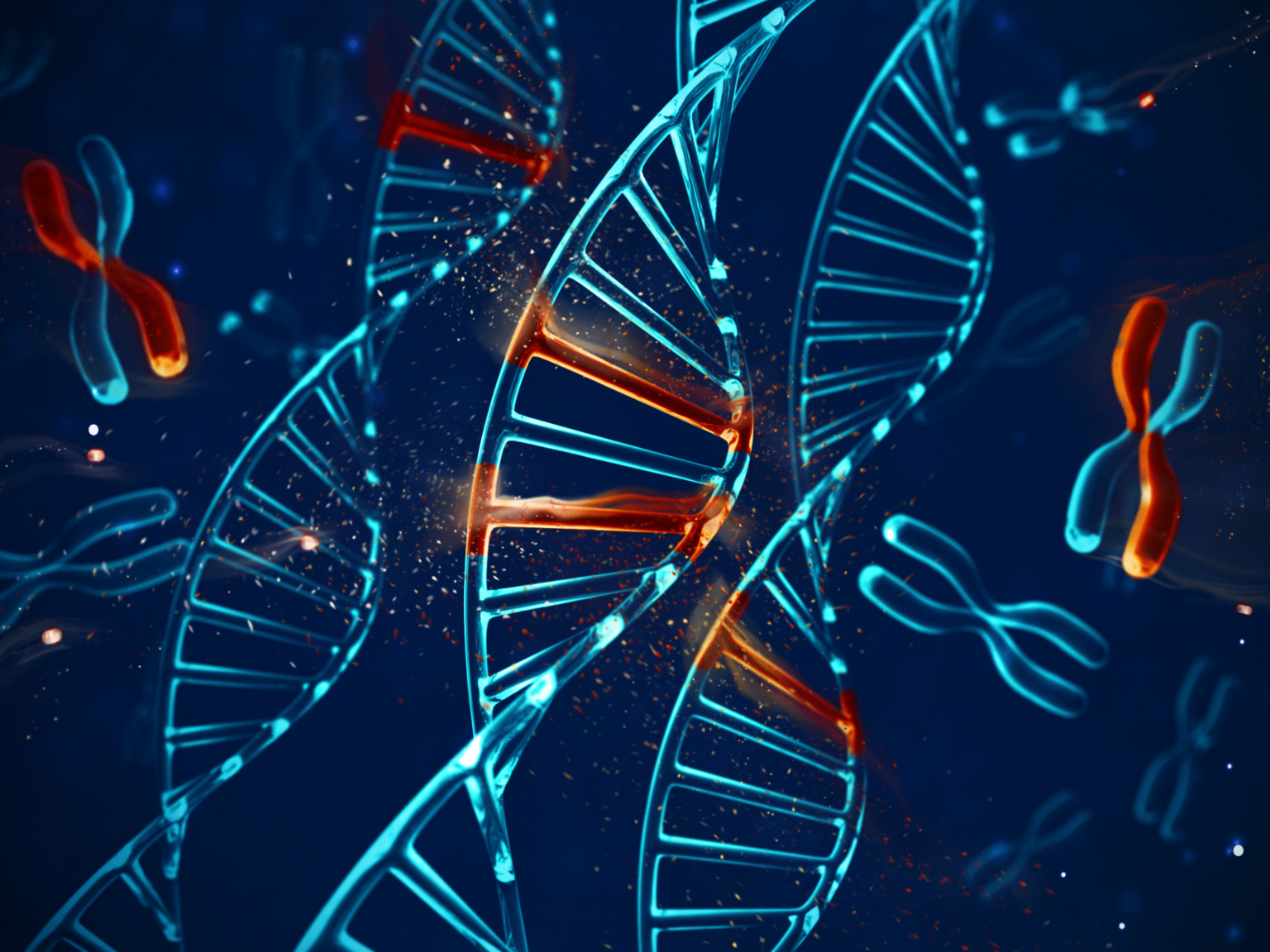 Cytogenetics - Lancet Laboratory